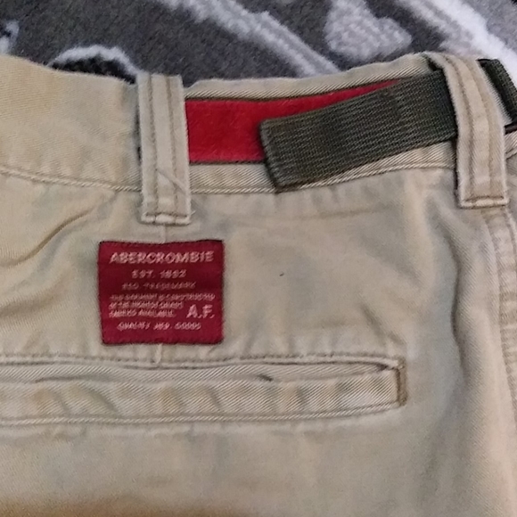 Abercrombie & Fitch shorts GUC - Picture 3 of 4